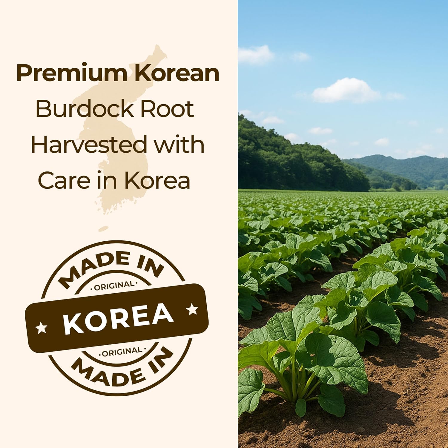 Korean Roasted Burdock Root Tea / 볶은 우엉차