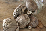 Load image into Gallery viewer, Dried Shiitake Mushroom / 표고버섯(말린) 80g
